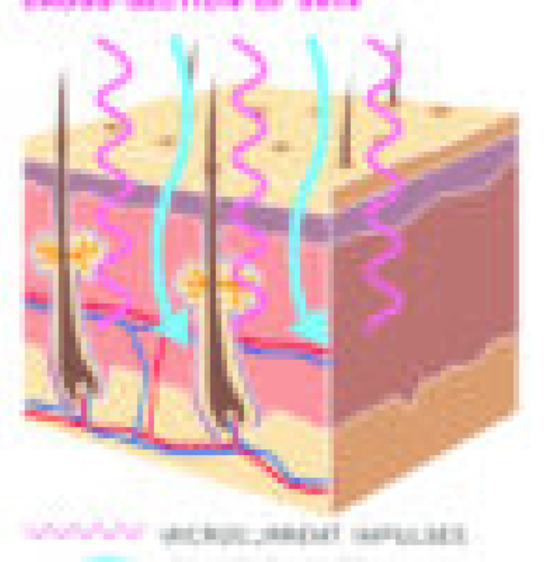 CellWave Microcurrent with LED (Refurbished) - Image 2